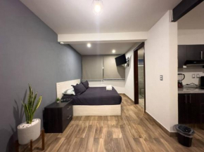 Dpto. moderno zona boulevard